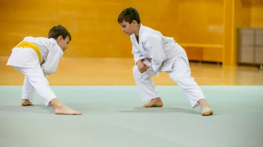 judo nedir