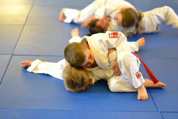 judo teknikleri